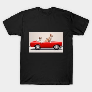 Cats with car T-Shirt